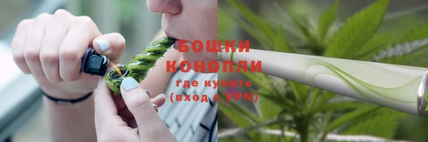 ешки Арсеньев