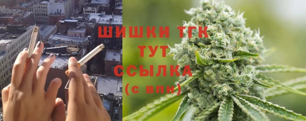 ешки Арсеньев